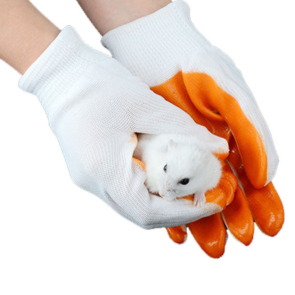 1 Paio di Guanti Anti-Morso pe - Cut Resistant Glove recensione e prezzo
